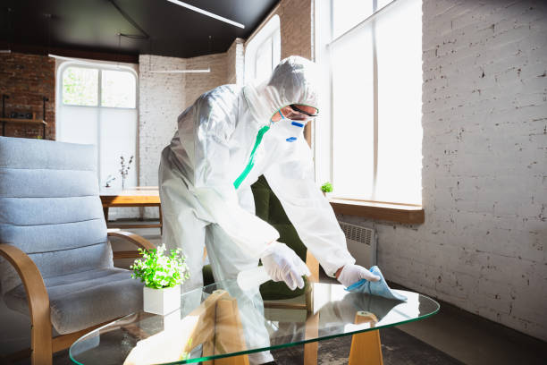 Professional Mold Removal Services in Athens, GA